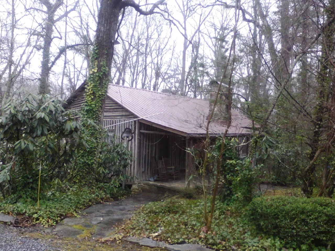 Weathered metal roof on an old board sided cabin in the woods in Somers